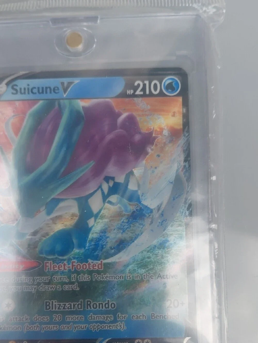 Carmine Trainer Supporter Card - Silver/Gray With 2 More One V